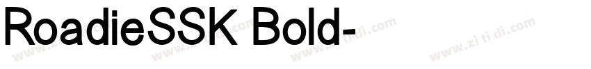 RoadieSSK Bold字体转换